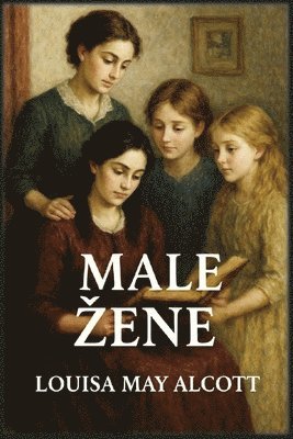 bokomslag Male zene