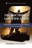 bokomslag Doctrine of Sanctification