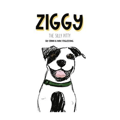 Ziggy the Silly Pitty 1