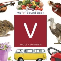 bokomslag My V Sound Book