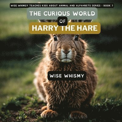 The Curious World of Harry the Hare 1