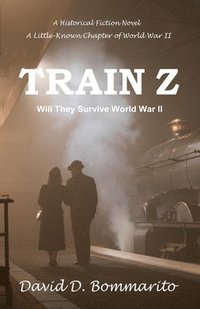 bokomslag Train Z