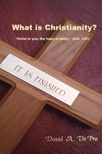 bokomslag What is Christianity?