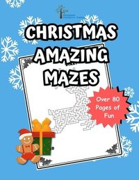 bokomslag The Hidden Hollow Tales Christmas Maze Book
