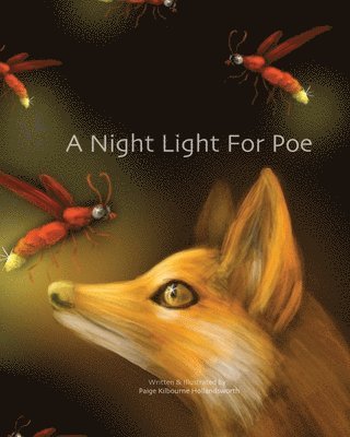 A Night Light For Poe 1