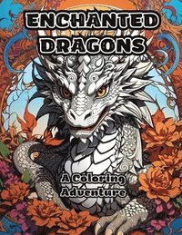 bokomslag Enchanted Dragons