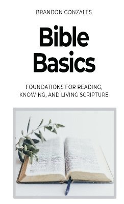 bokomslag Bible Basics