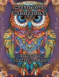 bokomslag Mystic Owl Meditations