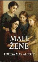 bokomslag Male zene