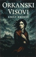 bokomslag Orkanski visovi