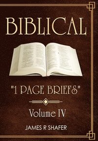 bokomslag Biblical "1 Page Briefs": Volume IV