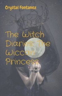 bokomslag Witch Diaries