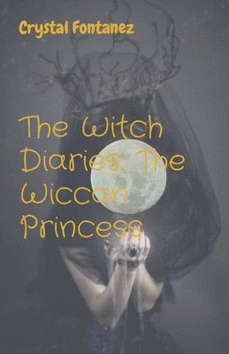 bokomslag Witch Diaries
