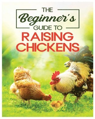 Raising Chickens for Beginners 1