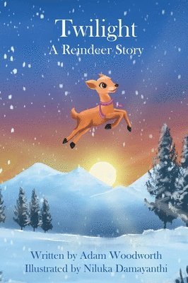 Adam Woodworth, Judy Hogfeldt - Twilight, Inbunden