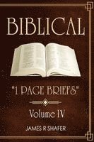 bokomslag Biblical "1 Page Briefs": Volume IV