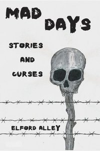 bokomslag Mad Days