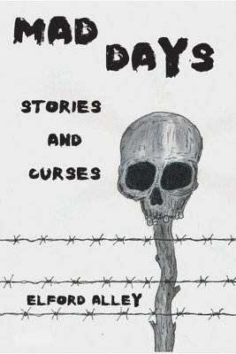 bokomslag Mad Days