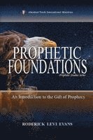 bokomslag Prophetic Foundations