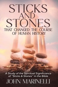 bokomslag Sticks & Stones That Changed The Course of Human History