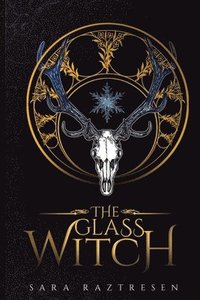 bokomslag Glass Witch