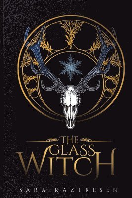 bokomslag Glass Witch