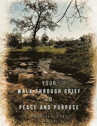 bokomslag Your Walk Through Grief to Peace and Purpose