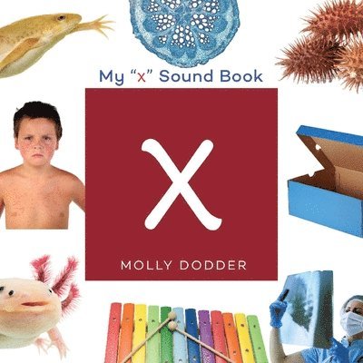 My X Sound Book 1