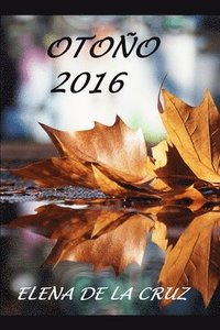 bokomslag Oto O 2016