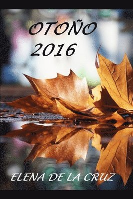 bokomslag Oto O 2016