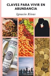 bokomslag Claves Para Vivir En Abundancia