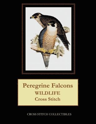 bokomslag Peregrine Falcons: Wildlife Cross Stitch