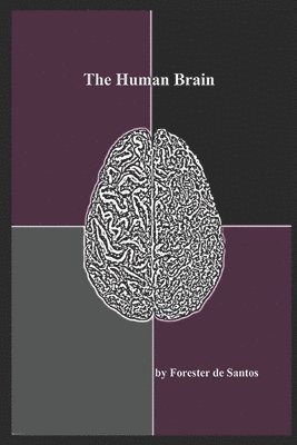 bokomslag The Human Brain