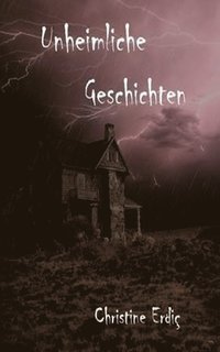 bokomslag Unheimliche Geschichten