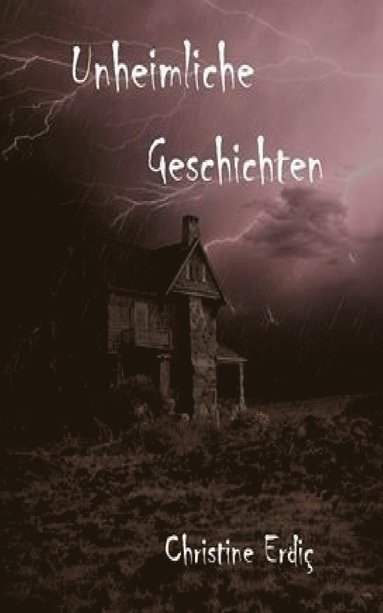 bokomslag Unheimliche Geschichten