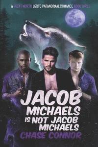 bokomslag Jacob Michaels Is Not Jacob Michaels (A Point Worth LGBTQ Paranormal Romance Book 3)