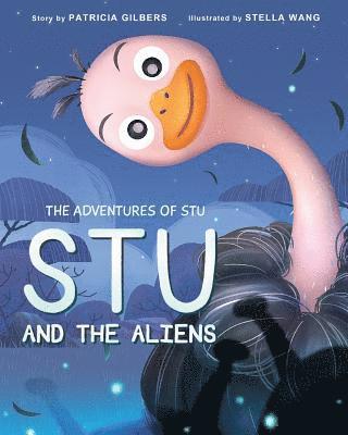 bokomslag Adventures of Stu