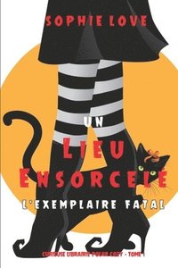 bokomslag Un lieu ensorcelé