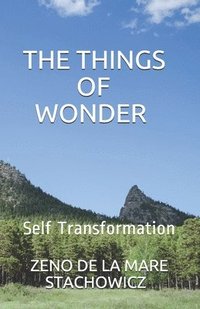bokomslag The Things of Wonder: Self Transformation