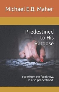 bokomslag Predestined to His Purpose: For whom He foreknew, He also predestined.