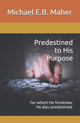 bokomslag Predestined to His Purpose: For whom He foreknew, He also predestined.