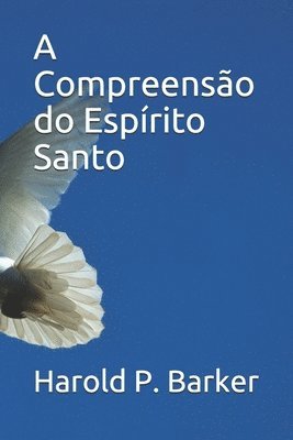 bokomslag A Compreensão do Espírito Santo