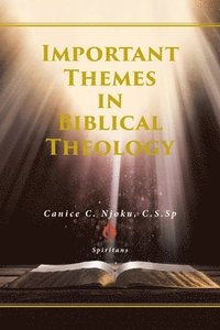 bokomslag Important Themes in Biblical Theology