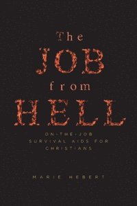 bokomslag The Job from Hell