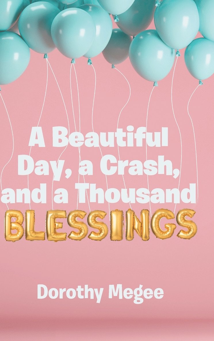 A Beautiful Day, a Crash, and a Thousand Blessings 1