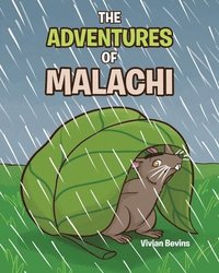 bokomslag The Adventures of Malachi