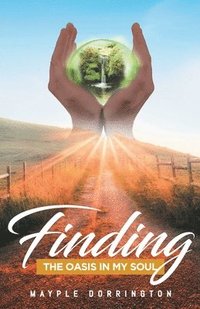 bokomslag Finding