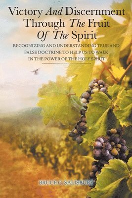 Victory and Discernment Through the Fruit of the Spirit 1