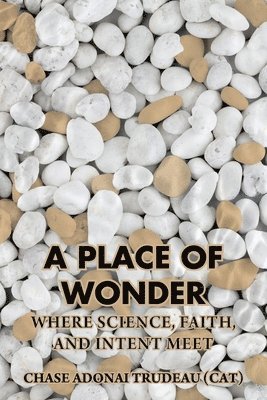 A Place of Wonder 1