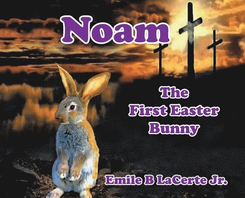 Noam-The First Easter Bunny 1